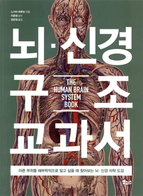 뇌·신경 구조 교과서 [전자자료] = The human brain system book : 아픈 부위를 해부학적으로 알고 싶을 때 찾아보는 뇌·신경 의학 도감