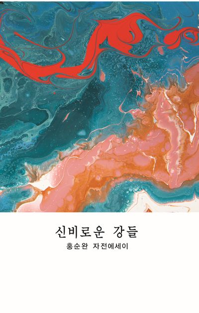 신비로운 강들 : 홍순완 자전에세이