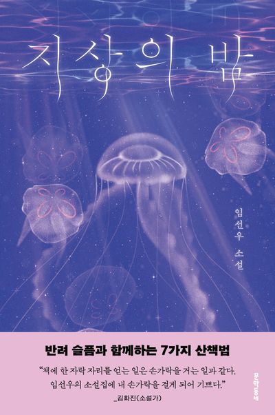 지상의 밤 : 임선우 소설