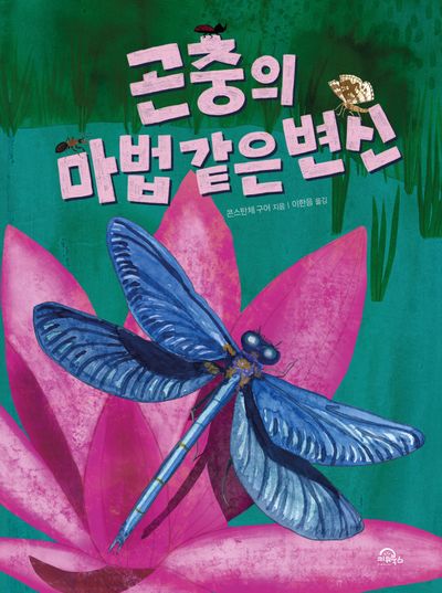 곤충의 마법 같은 변신