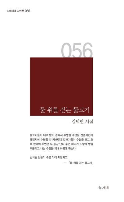 물 위를 걷는 물고기 : 김덕현 시집