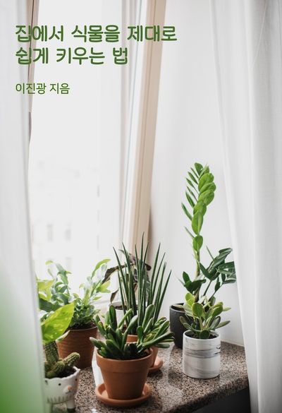 집에서 식물을 제대로 쉽게 키우는 법