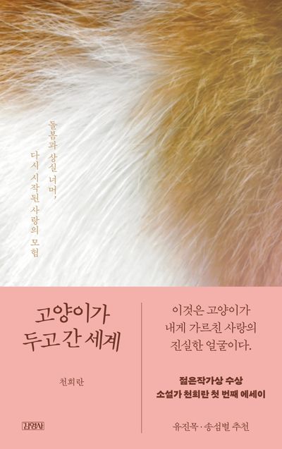 고양이가 두고 간 세계 : 돌봄과 상실 너머, 다시 시작된 사랑의 모험
