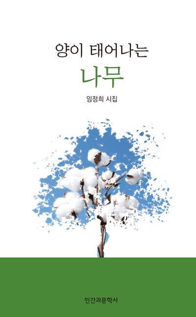 양이 태어나는 나무 : 임정희 시집