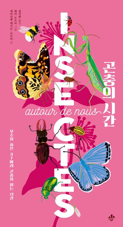 곤충의 시간 : 우주를 품은 37마리 곤충을 읽는 시간