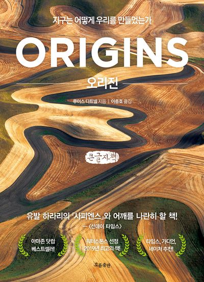 오리진 : 지구는 어떻게 우리를 만들었는가 : 큰글자책
