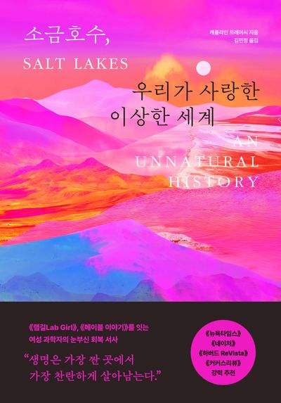 소금호수, 우리가 사랑한 이상한 세계 