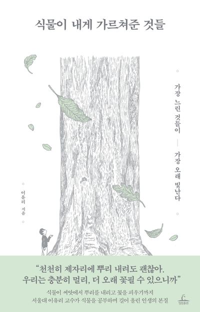 식물이 내게 가르쳐준 것들 : 가장 느린 것들이 가장 오래 빛난다