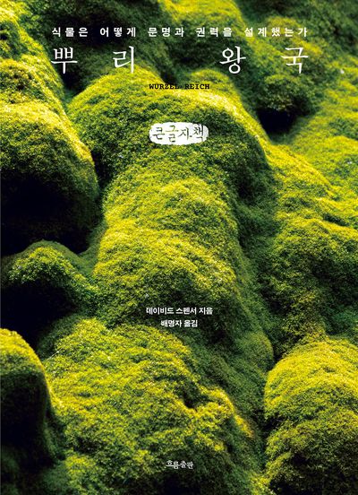 뿌리 왕국 : 식물은 어떻게 문명과 권력을 설계했는가 : 큰글자책