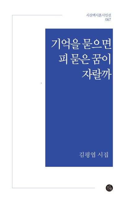 기억을 묻으면 피 묻은 꿈이 자랄까 : 김평엽 시집