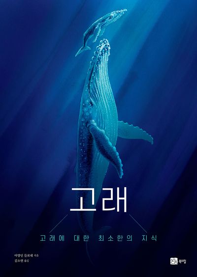 고래 : 고래에 대한 최소한의 지식