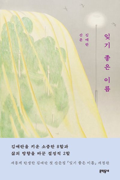 잊기 좋은 이름 : 김애란 산문