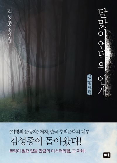 달맞이언덕의 안개 : 김성종 연작소설 : 큰글자책