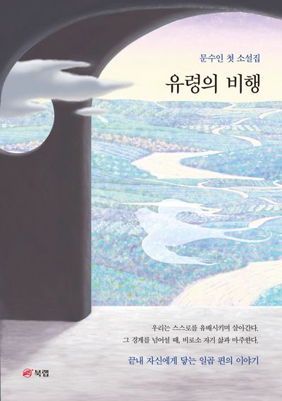 유령의 비행 : 문수인 첫 소설집