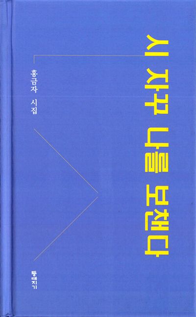 시 자꾸 나를 보챈다 : 홍금자 시집