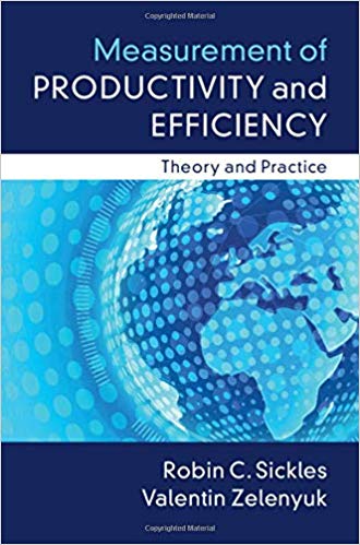 Measurement of productivity and efficiency : theory and practice