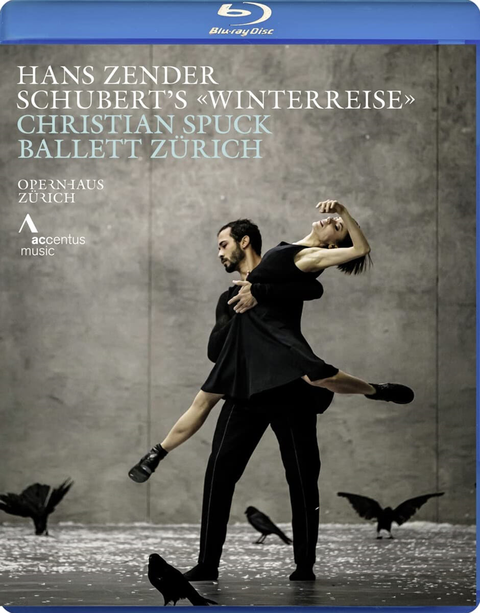 Schubert's Winterreise [videorecording]