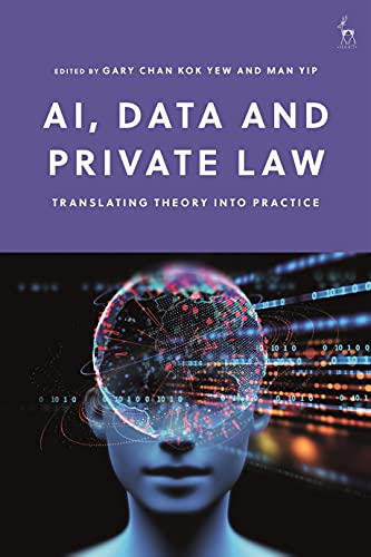 AI, data and private law : translating theory into practice