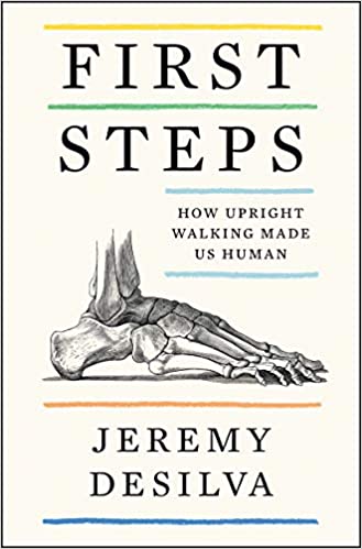 First steps : how upright walking made us human