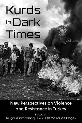 Kurds in dark times : new perspectives on violence and resistance in Turkey