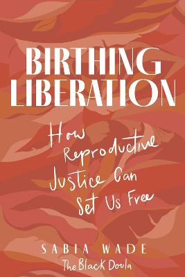 Birthing liberation : how reproductive justice can set us free