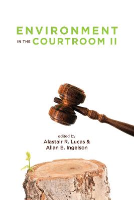 Environment in the courtroom. Volume II