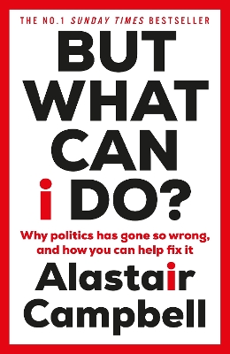 But what can I do? : why politics has gone so wrong, and how you can help fix it