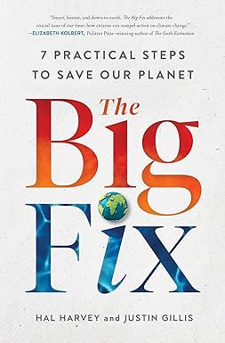 The big fix : 7 practical steps to save our planet