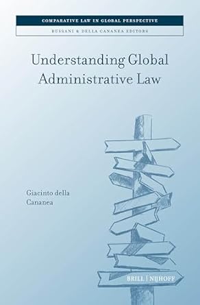 Understanding global administrative law