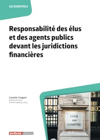 Responsabilité des élus et des agents publics devant les juridictions financières