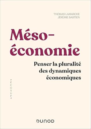 Mésoéconomie : penser la pluralité des dynamiques économiques