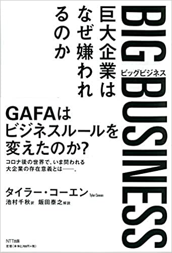 Big business : 巨大企業はなぜ嫌われるのか