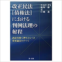 改正民法<債権法>における判例法理の射程 : 訴訟実務で押さえるべき重要論点のすべて