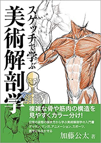 スケッチで学ぶ美術解剖学