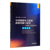 中国电力减排研究. 2020, 中国低碳电力发展政策回顾与展望
