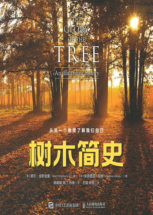 树木简史