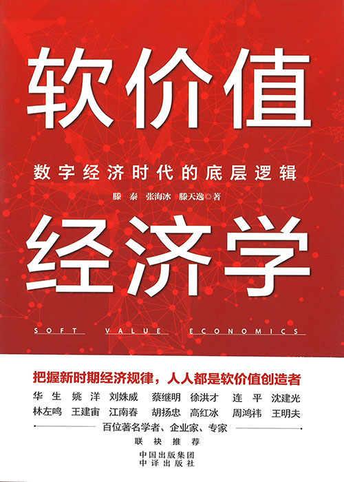 软价值经济学 : 数字经济时代的底层逻辑