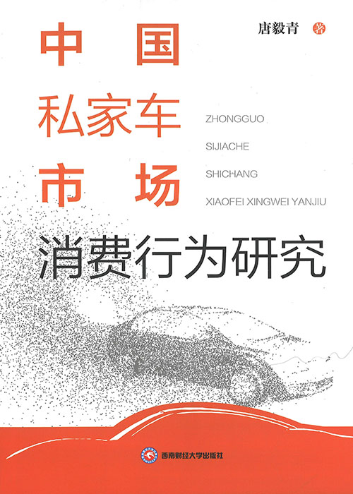 中国私家车市场消费行为研究