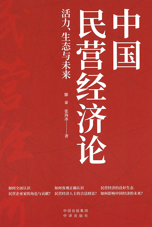 中国民营经济论