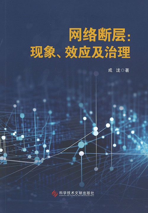 网络断层 : 现象, 效应及治理