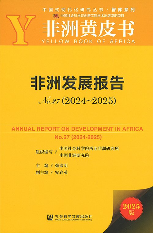 非洲发展报告 = Annual report on development in Africa. no. 27(2024-2025)