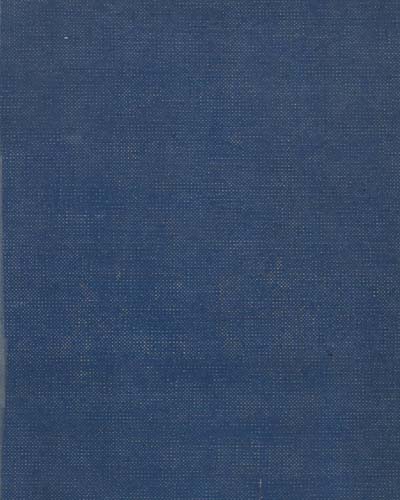 언어 : 본질·발달·기원