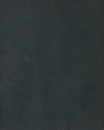 살충제의 화학과 작용