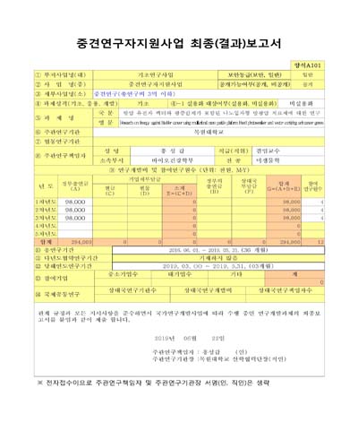 항암 유전자 벡터와 광증감제가 포함된 나노입자형 방광암 치료제에 대한 연구 [전자자료]