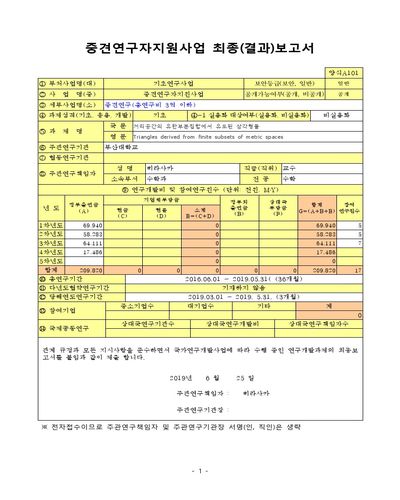 거리공간의 유한부분집합에서 유도된 삼각형들 [전자자료]