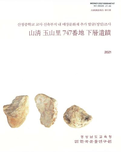 山淸 玉山里 747番地 下層遺蹟 : 산청중학교 교사 신축부지 내 매장문화재 추가 발굴(정밀)조사