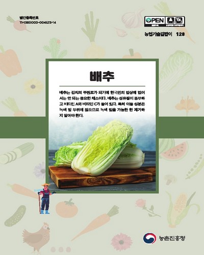 배추 [전자자료]