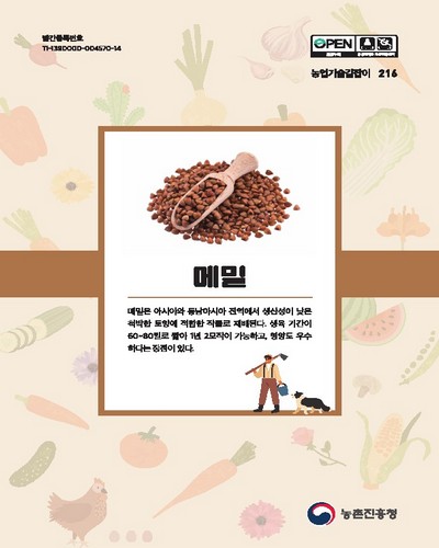 메밀 [전자자료]