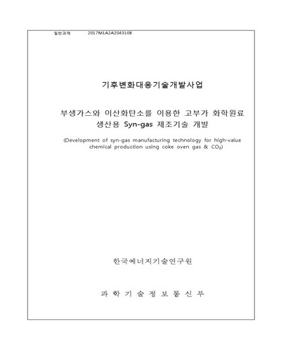 부생가스와 이산화탄소를 이용한 고부가 화학원료 생산용 Syn-gas 제조기술 개발 [전자자료]
