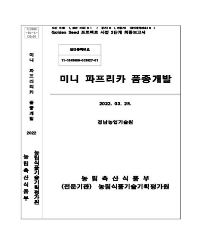 미니파프리카 품종 개발